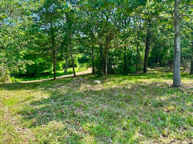 0 Jeffers Way, Home with 0 bedrooms, 0 bathrooms and null parking in Chilmark MA | Image 4