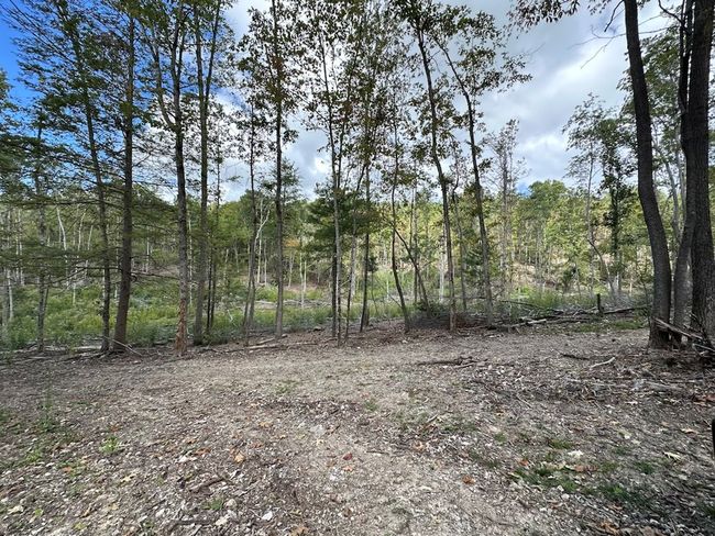 621 Point Pleasant Rd, House other with 2 bedrooms, 1 bathrooms and null parking in BLAND VA | Image 18
