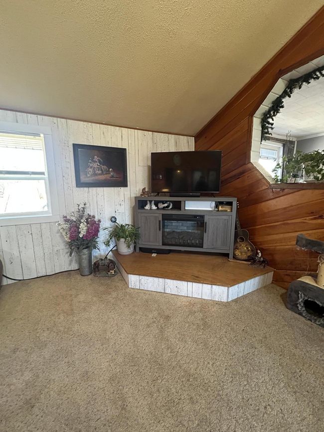 Fireplace | Image 10