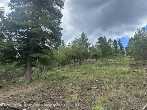 113 & 115 Oak Grove Place, Ruidoso, NM, 88345 | Card Image