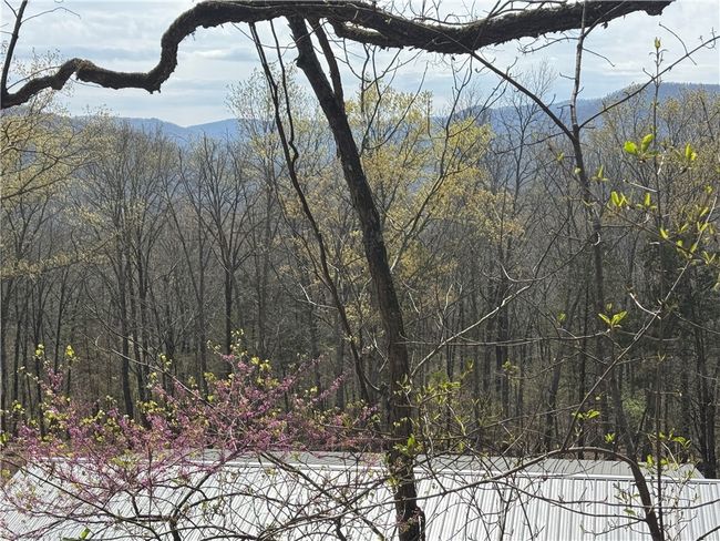 783 Nc 8400, House other with 2 bedrooms, 1 bathrooms and null parking in Jasper AR | Image 37