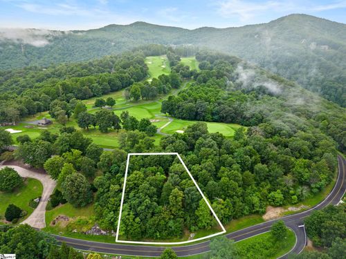 223 May Apple Way, Landrum, SC, 29356-3117 | Card Image