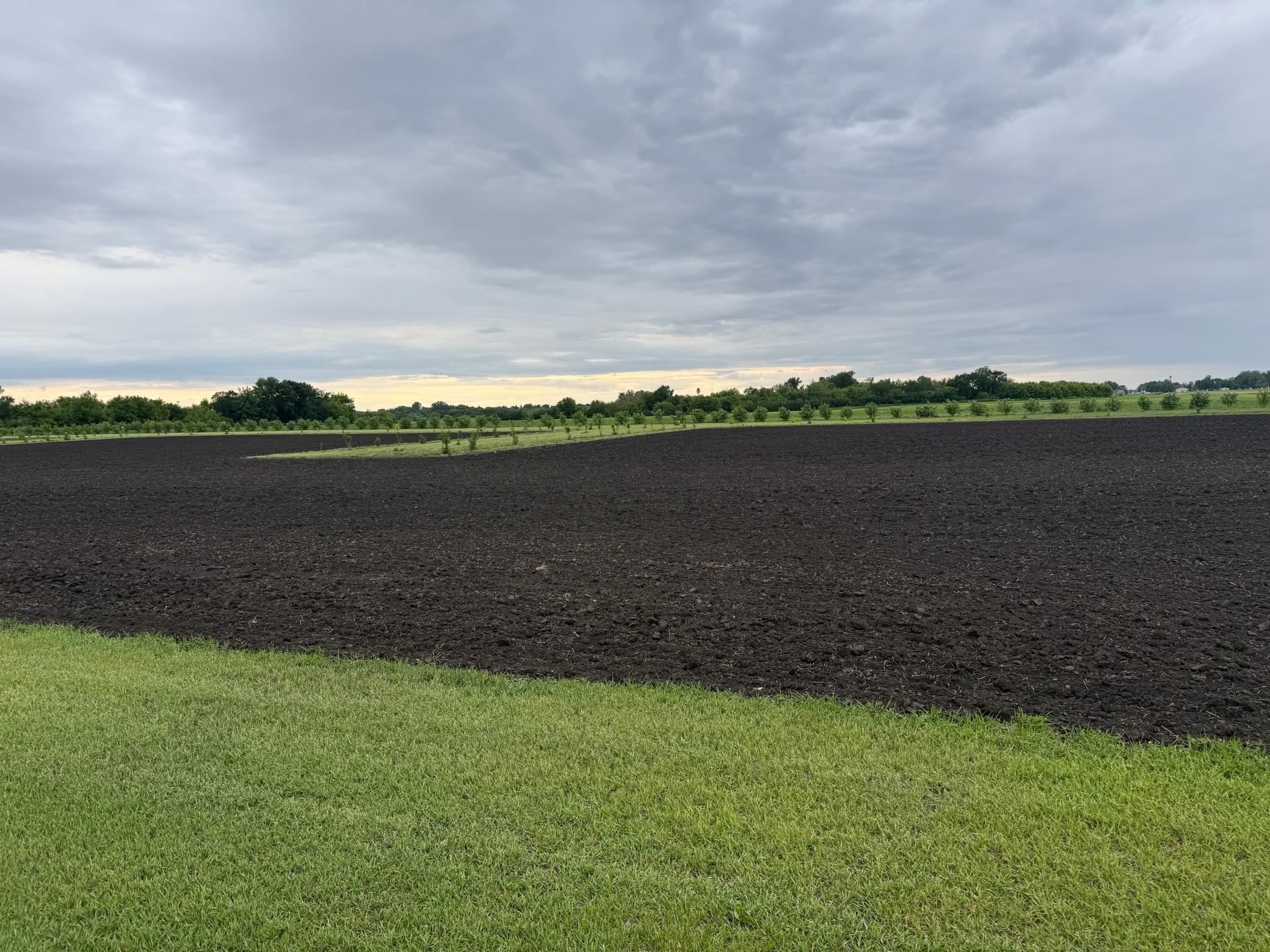 Land in Minto 2