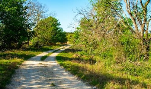 203 Rheingold School Rd, Fredericksburg, TX, 78624-5734 | Card Image