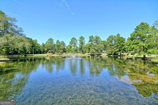 202 S Edgewood Dr, House other with 4 bedrooms, 2 bathrooms and null parking in Statesboro GA | Image 24