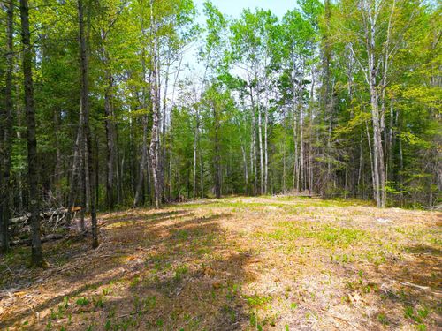 72XX E Central Lakes Rd, Eveleth, MN, 55734 | Card Image