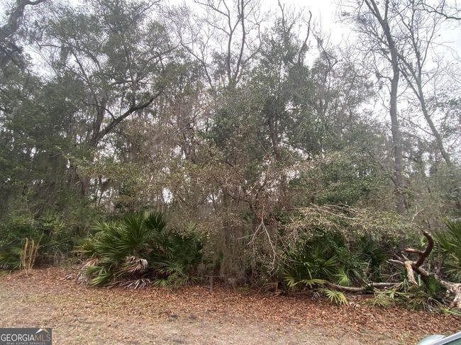 0 Cobia Ln, Home with 0 bedrooms, 0 bathrooms and null parking in Saint Mary's GA | Image 4