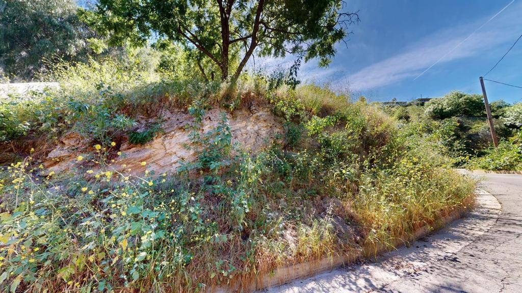 Land in Sherman Oaks 3