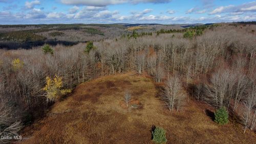 14 Hawthorne Path, Jefferson, NY, 12093 | Card Image