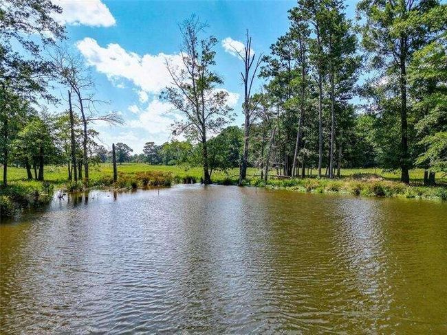 204 George Rd Sw, Home with 0 bedrooms, 0 bathrooms and null parking in Cave Spring GA | Image 33