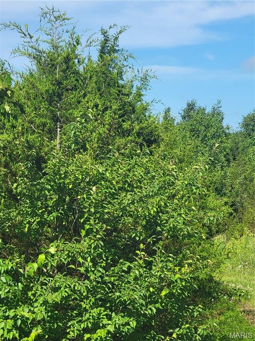 5086 Fox Creek Rd, Pacific, MO, 63069 | Card Image