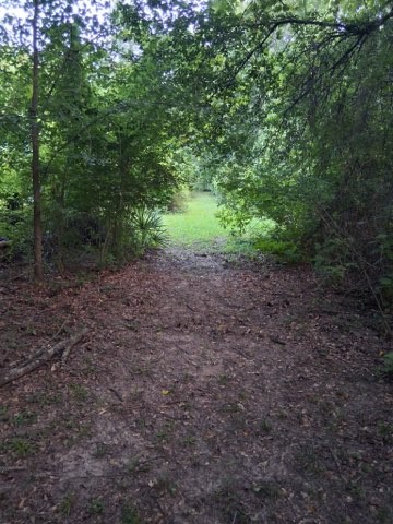 Residential in Sulphur Springs 4