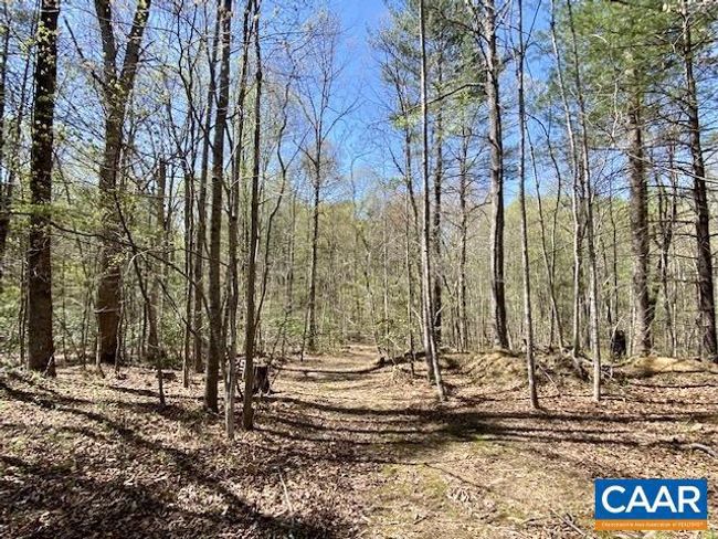 2224 Davis Shop Rd, House other with 3 bedrooms, 2 bathrooms and null parking in EARLYSVILLE VA | Image 28