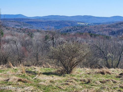 2 Lang Rd, Summit, NY, 12175 | Card Image