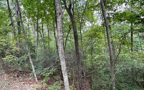 Lot 20 Enchanted Ridge, Hayesville, NC, 28904 | Card Image