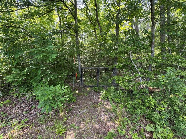 108 Hawn Dr, House other with 3 bedrooms, 2 bathrooms and null parking in Crab Orchard TN | Image 49