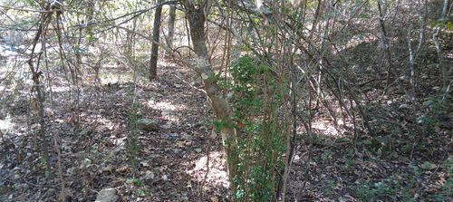 Blk3 Lot17 Esquire Dr., Theodosia, MO, 65761 | Card Image