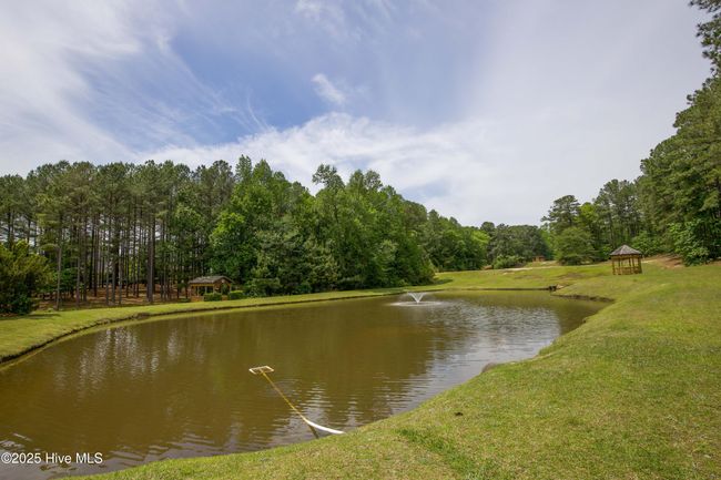 1471 Micahs Way N, House other with 3 bedrooms, 3 bathrooms and 2 parking in Spring Lake NC | Image 90