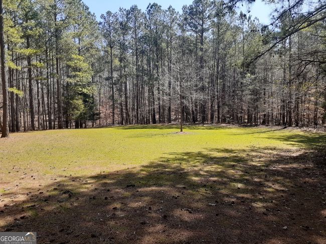 1368 Wash Brown Dr, Home with 0 bedrooms, 0 bathrooms and null parking in Elberton GA | Image 19