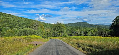 00 Shaver Hollow Rd, Andes, NY, 13731 | Card Image