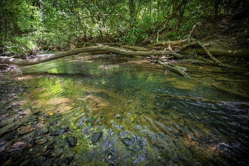 Lot 1-1A Jonica Gap Road, Mineral Bluff, GA, 30559 | Card Image