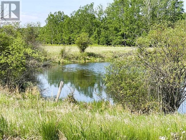 842070 Range Rd, Home with 3 bedrooms, 2 bathrooms and null parking in Fairview AB | Image 38