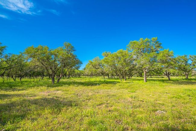 000 S Laird Rd, Home with 0 bedrooms, 0 bathrooms and null parking in Harper TX | Image 6
