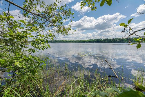 4-Off Ush 45, Three Lakes, WI, 54562-9034 | Card Image