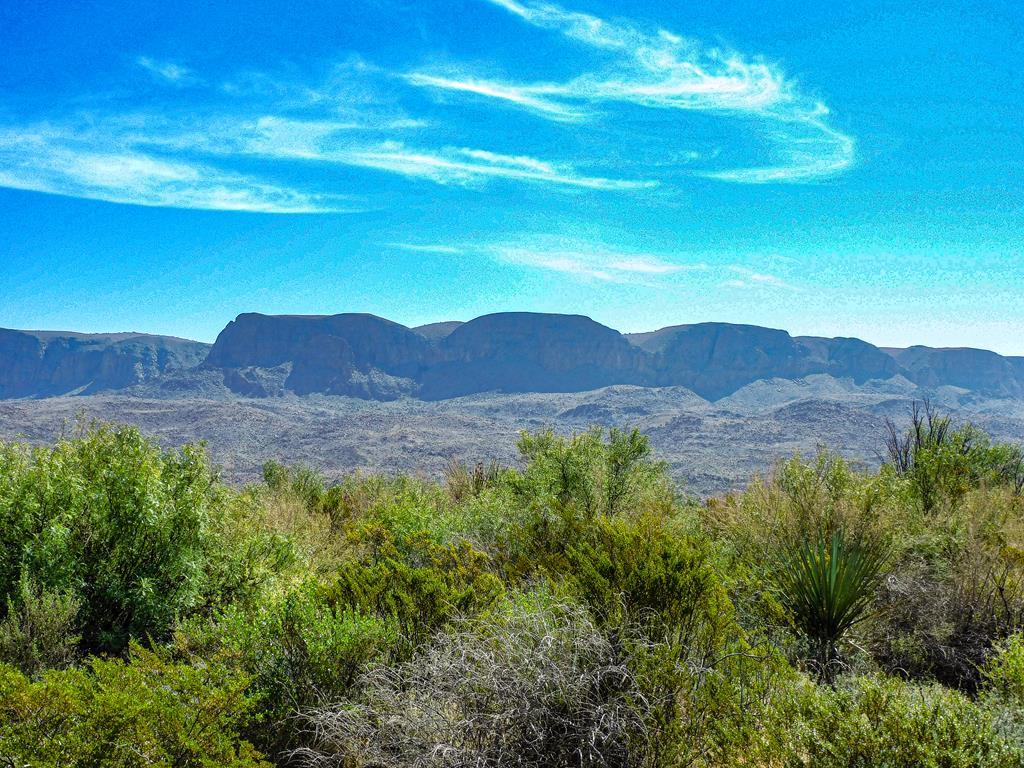 Land in Terlingua 2