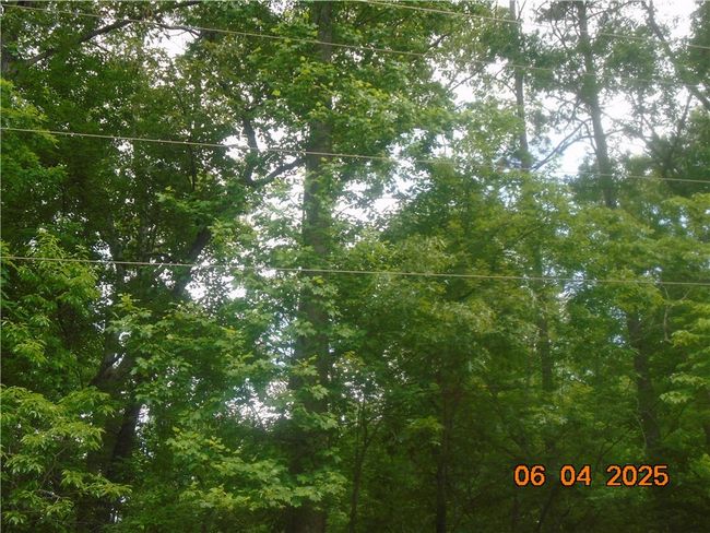 1000 E Cedar Creek Rd, Home with 0 bedrooms, 0 bathrooms and null parking in Sunset SC | Image 13