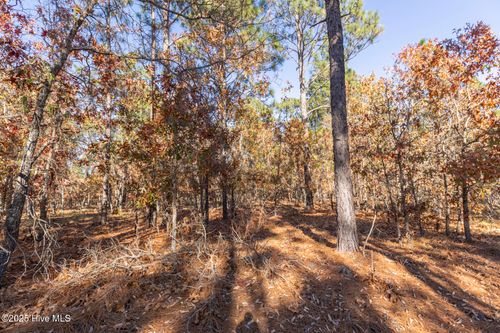 465 Roundabout Rd, Carthage, NC, 28327-7173 | Card Image