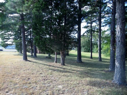 0 Joe Ave, Hohenwald, TN, 38462 | Card Image