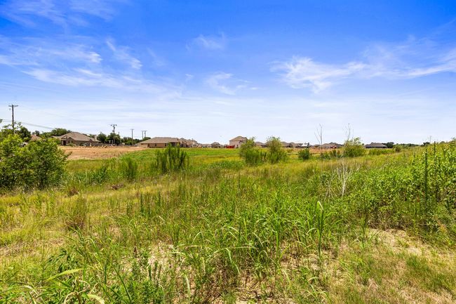 Greenbelt way | Image 37