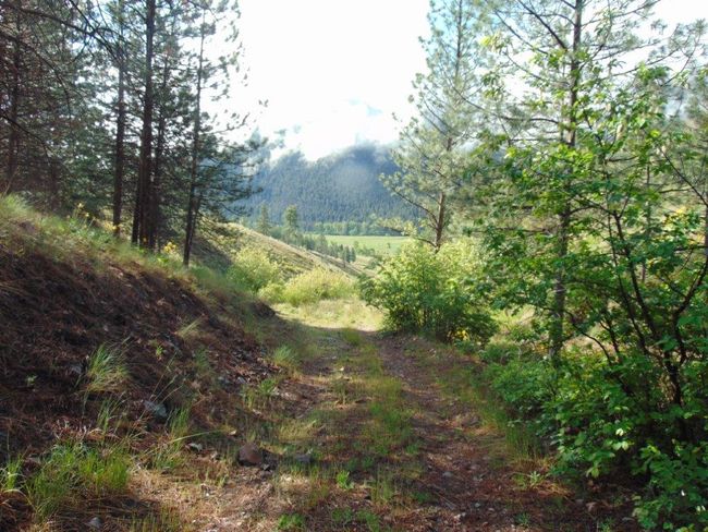 27235 Lazy Springs Rd, Home with 0 bedrooms, 0 bathrooms and null parking in Clinton MT | Image 41