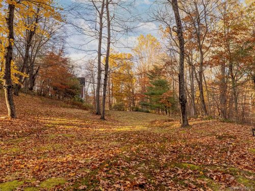 216 Starbarrack Rd, Red Hook, NY, 12571-2252 | Card Image