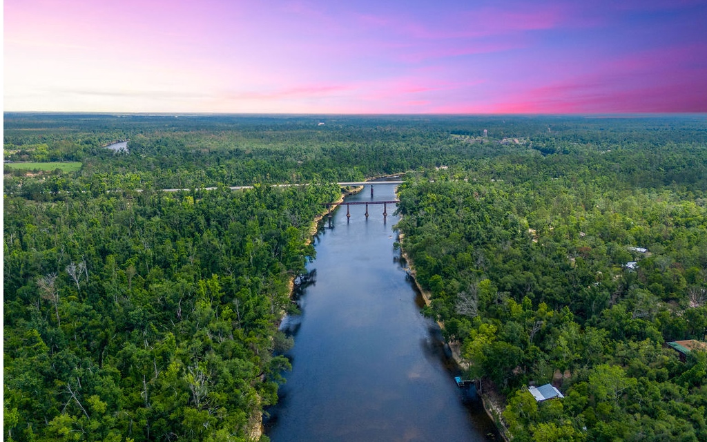 Land in Live Oak 4