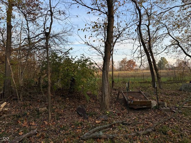 00 N State Road 109, Home with 0 bedrooms, 0 bathrooms and null parking in Wilkinson IN | Image 4