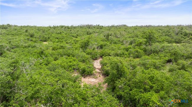 3049 Reservation Rd, Home with 0 bedrooms, 0 bathrooms and null parking in Harper TX | Image 8