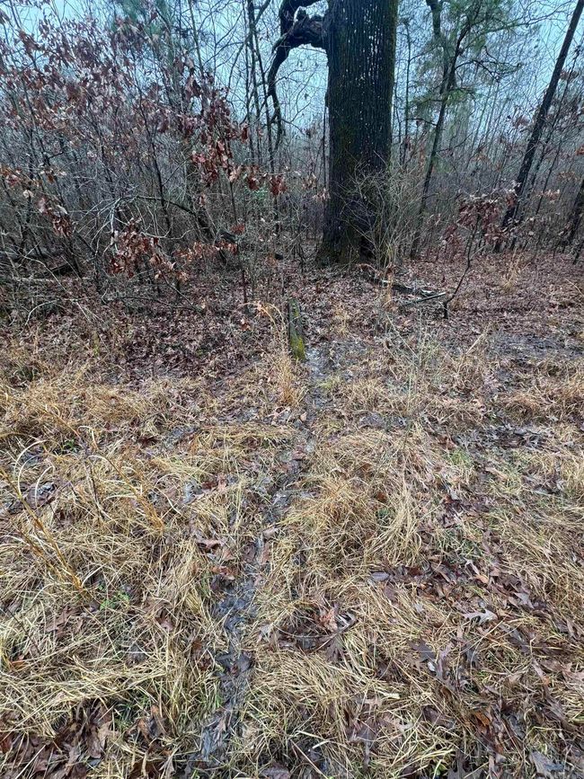 000 Ashley Road 912, Home with 0 bedrooms, 0 bathrooms and null parking in Hamburg AR | Image 15
