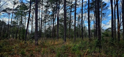 NHN Highway 11, Poplarville, MS, 39470 | Card Image