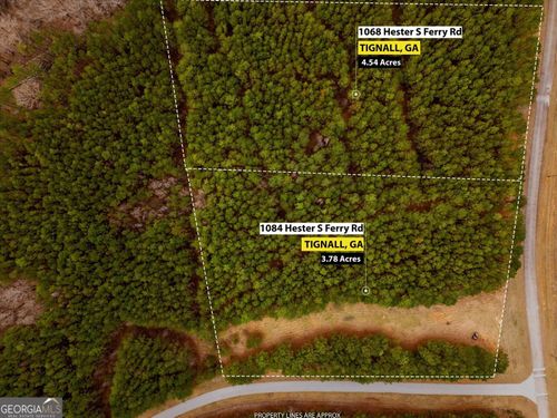 0 Hesters Ferry Rd, Tignall, GA, 30668 | Card Image