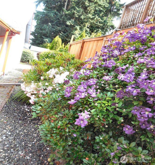 Side Yard | Image 17