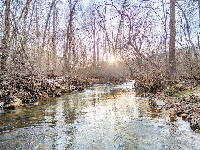 92 Acres Laurel Fork Rd, Home with 0 bedrooms, 0 bathrooms and null parking in Rocky Gap VA | Image 13