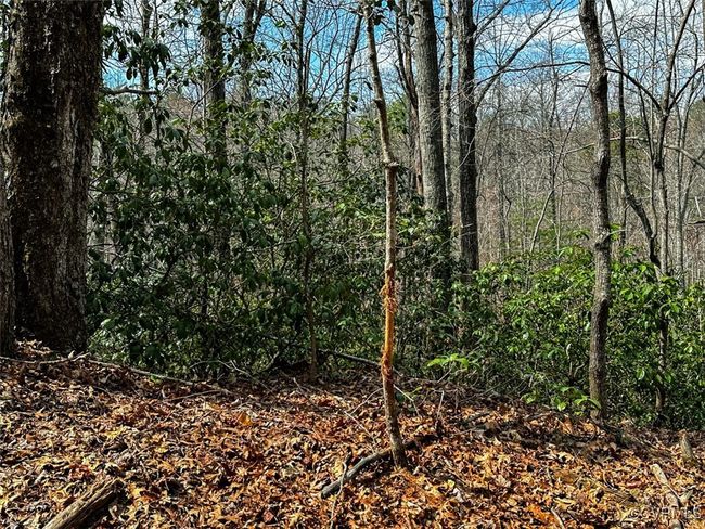 41.18 Acres (Off Of) Pole Bridge Rd, Home with 0 bedrooms, 0 bathrooms and null parking in Stuart VA | Image 6