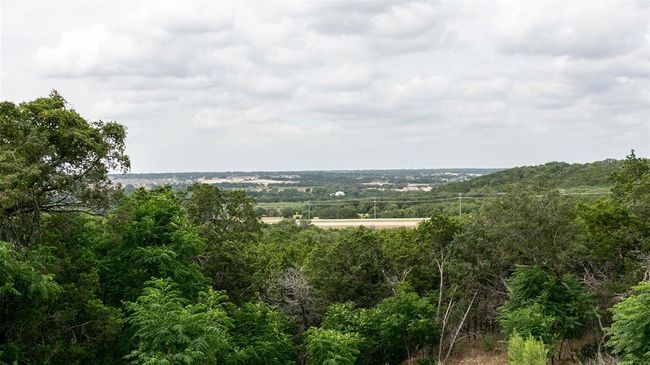 View of local wilderness | Image 13