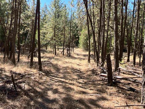 NKA N Coyote Ridge Ln, Ford, WA, 99013 | Card Image