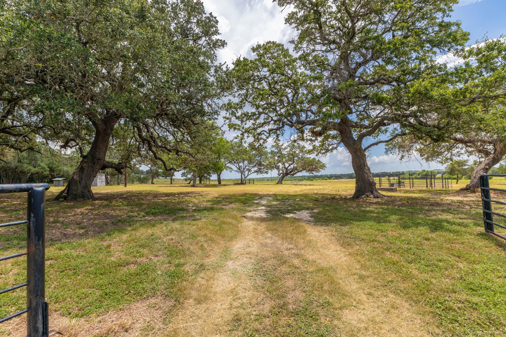 Land in Flatonia 5