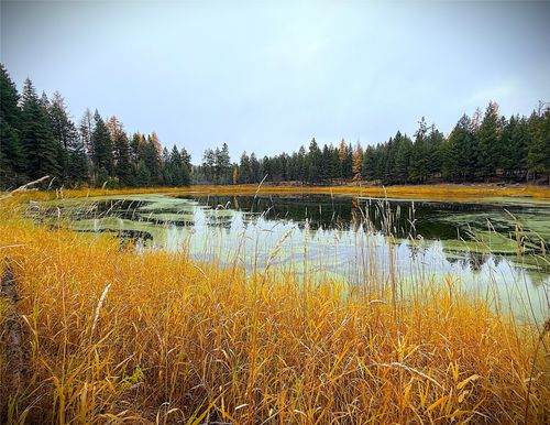 465 W Dodge Creek Road, Rexford, MT, 59930 | Card Image