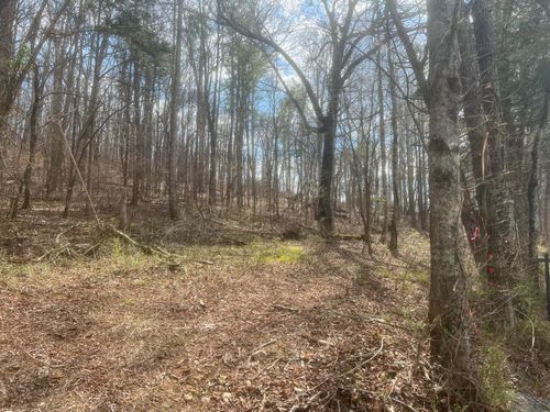 Lot 3 Candies Creek Ridge Rd Nw, Cleveland, TN, 37312 | Card Image