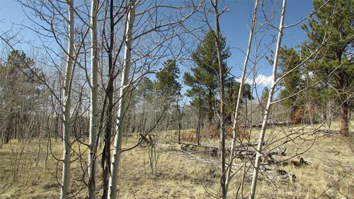 115 Wills Way, Jefferson, CO, 80456-9707 | Card Image